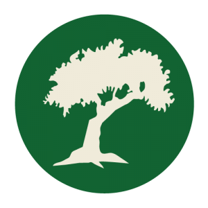 cypress-icon