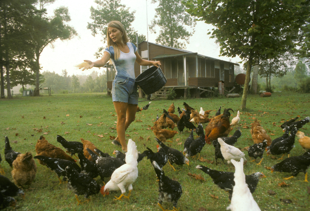 Gwen Carpenter feeds chicken.